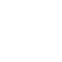 logo_dicks-lumber