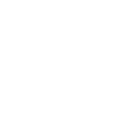 logo_wedding-star_