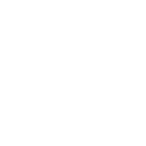 logo_aaim