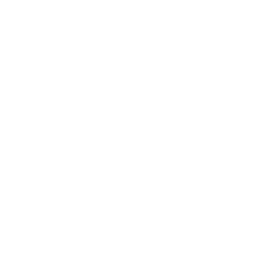 logo_anmore