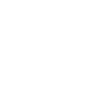 logo_ecom911