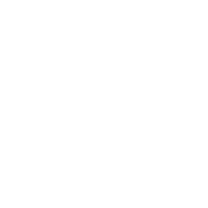 logo_interfor