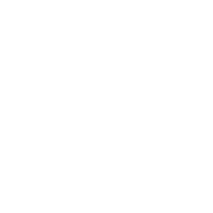 logo_nanaimo Airport