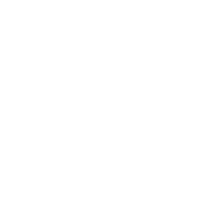 logo_new westminster