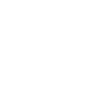 logo_skyalyne