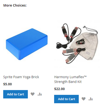 more-items-cross-sells More Choices