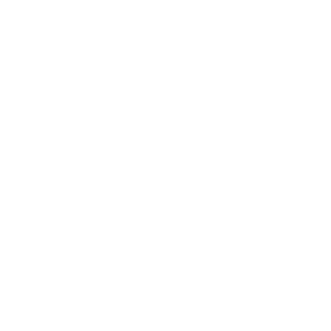 logo_jordans