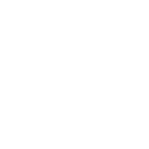 logo_prolink