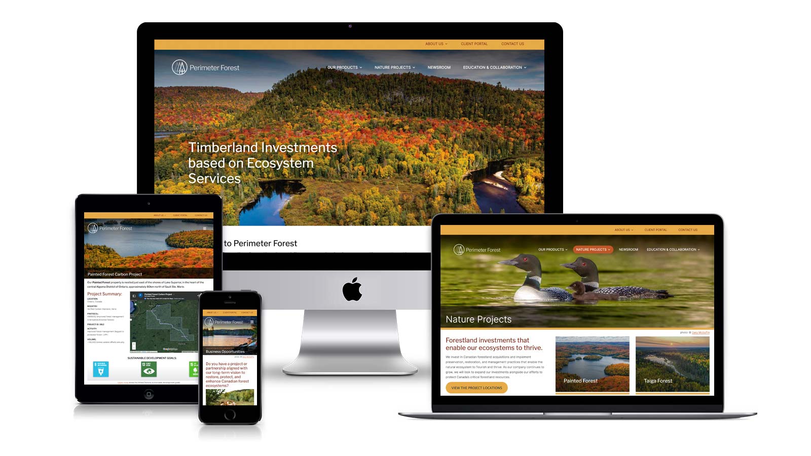 mock_Perimiter-Forest